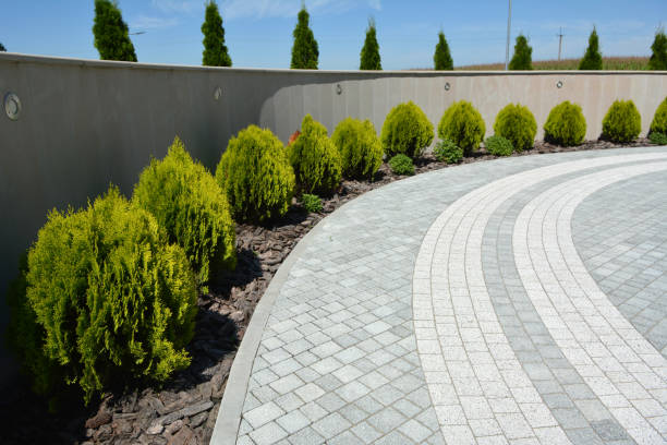 Best Cobblestone Driveway Paving in Shelton, WA